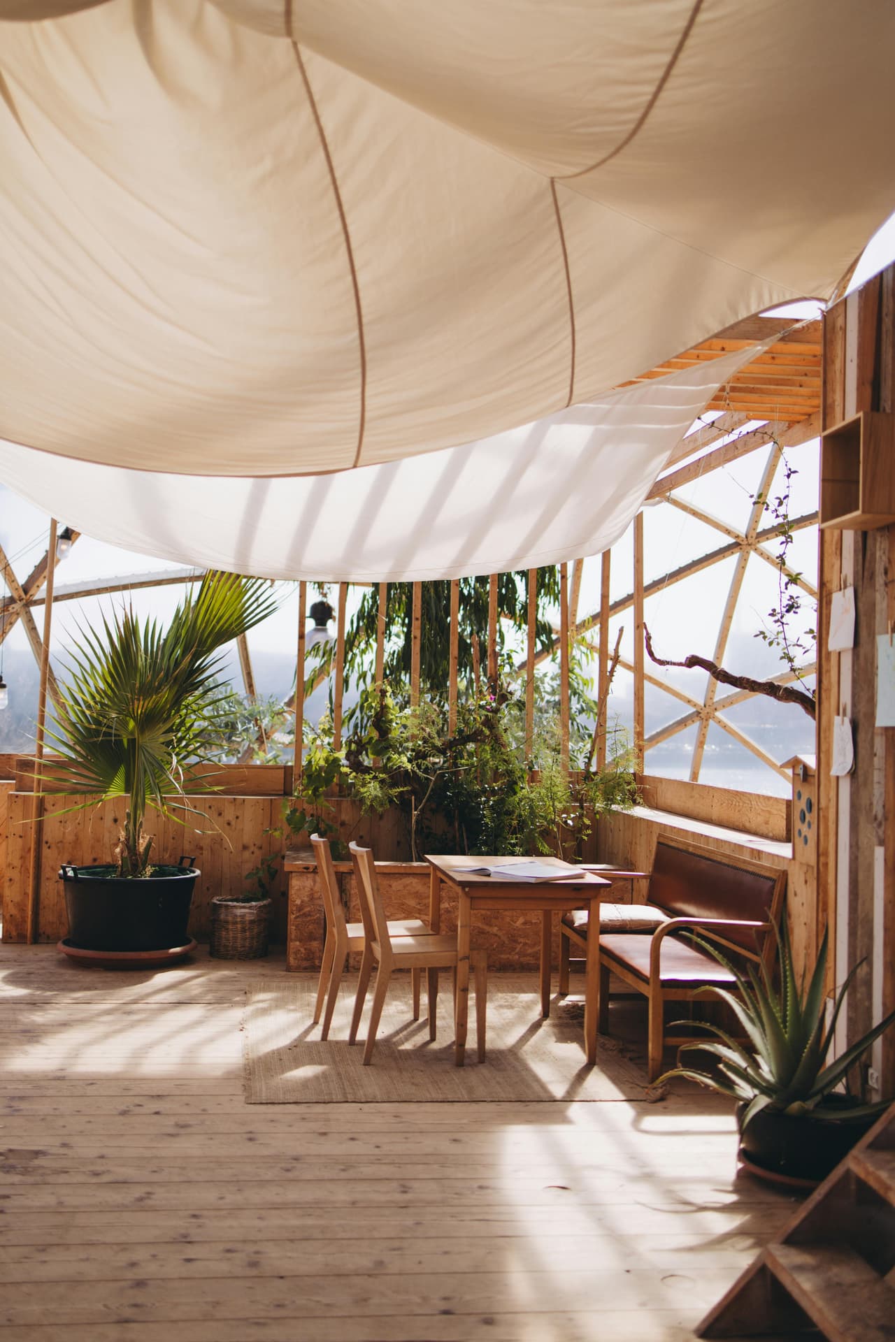 Indoor yoga space with plants