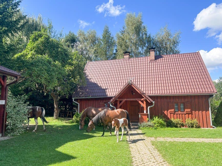 Jesienna regeneracja z jogą (5)